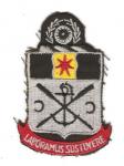 Army 10th Engineer Battalion Pocket Patch