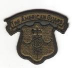 Pocket Patch 71st Infantry Regiment American Guard