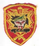 Special Forces Command Control South Patch Repro