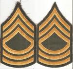 Vietnam Master Sergeant Rank Insignia