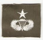 Senior Paratrooper Jump Wing Badge Vietnam Era