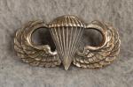 Paratrooper Jump Wing Badge Vietnam Era