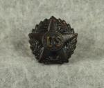 WWI Veterans Lapel Button