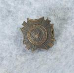 WWI VFW Veterans Lapel Button