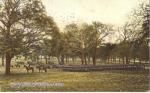 Postcard Fort Leavenworth Infantry Parade Grounds