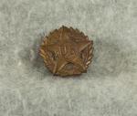 WWI Veterans Lapel Button