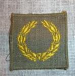 WWII Meritorious Unit Award Variation
