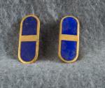 WWII AAF Flight Officer Insignia Pin Pair