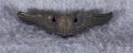 WWII USAAF Pilot Wing 2