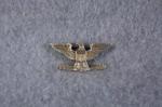 WWII era Colonel Eagle Rank Pin