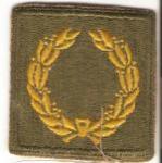 WWII Meritorious Unit Award Insignia Patch