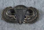 Paratrooper Airborne Jump Wing Robbins 