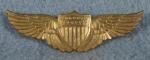 WWII era Novelty Pilot Wing Sweetheart Childs