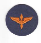 WWII USAAF Cadet Patch Felt