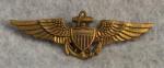 WWII USN Pilot Wing Vanguard