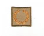 WWII Meritorious Unit Award Khaki Variation