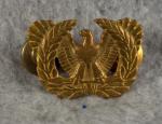 WWII era Warrant Officer Insignia Pin AE Co