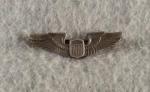 WWII USAAF Pilot Wing 