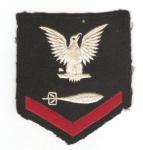 WWII USN Navy Rate Torpedoman PO3 