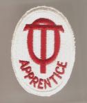 Occupational Therapist Apprentice Patch