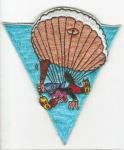 Patch 515th Airborne Infantry Regiment Copy