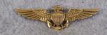WWII USN Navy Pilot Wing LGB